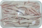 курин. Ноги